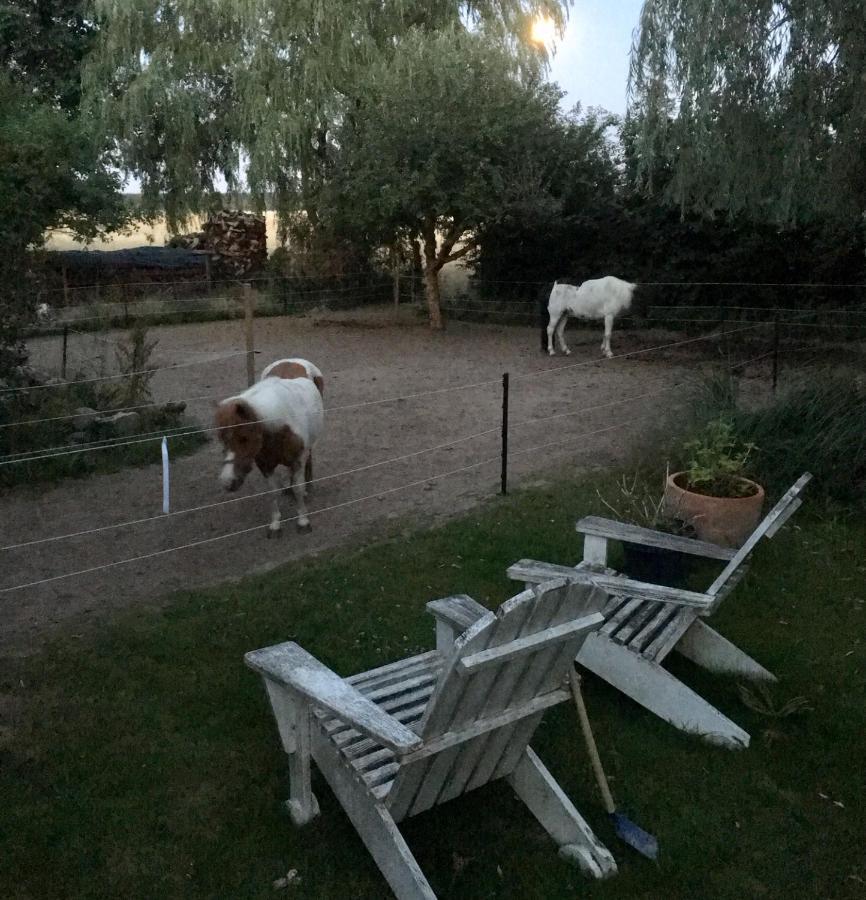 Ferienwohnung Alte Scheune Egestorf Dış mekan fotoğraf